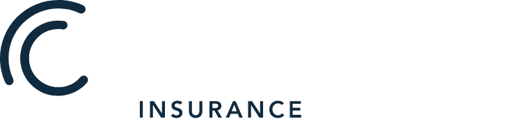 one day insurance logo in white
